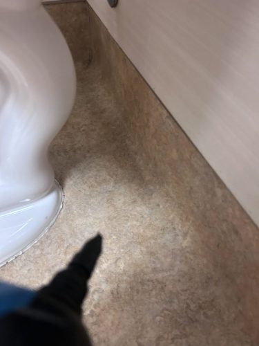 Buford-Georgia-Pest-Control-Service-88