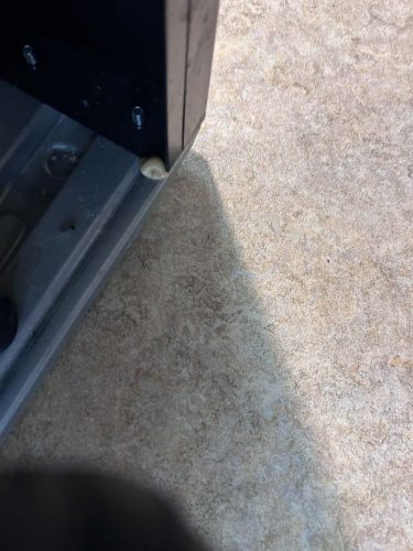 Buford-Georgia-Pest-Control-Service-91