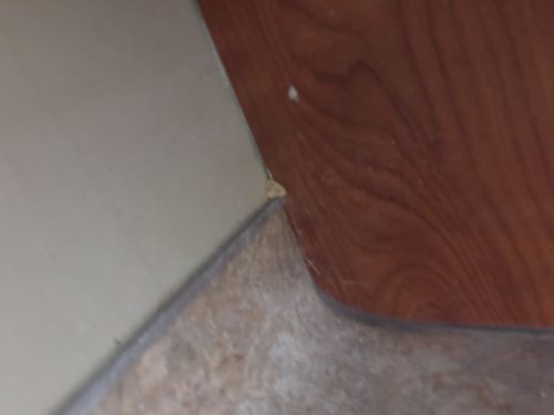 Buford-Georgia-Pest-Control-Service-93