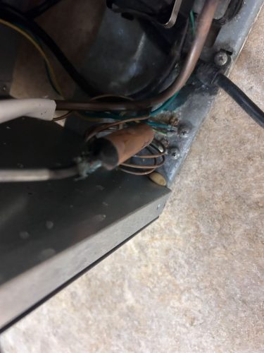 Buford-Georgia-Pest-Control-Service-95