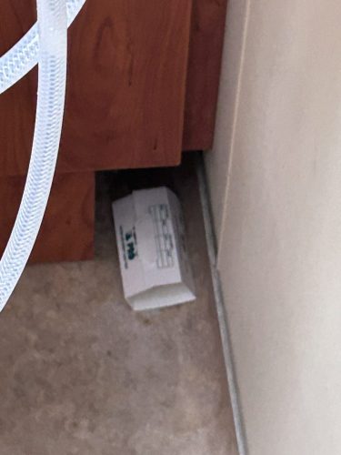 Buford-Georgia-Pest-Control-Service-98
